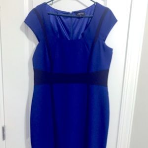 Tahari blue and black shift dress size12 never worn